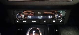 SKODA Kamiq usata, con Adaptive Cruise Control