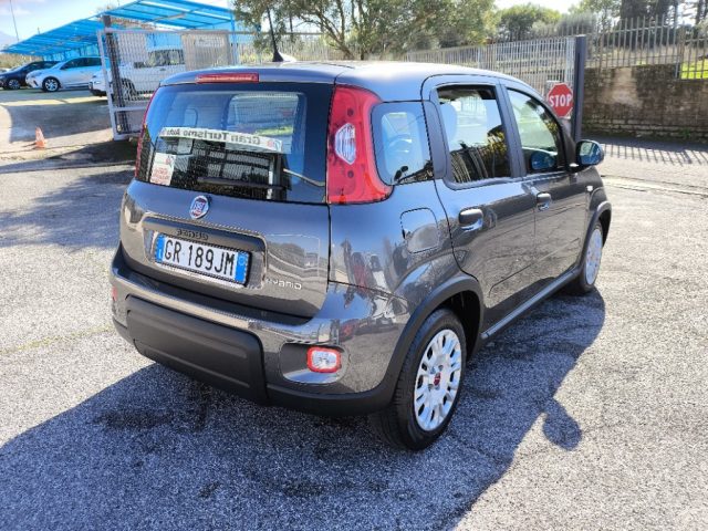 FIAT Panda usata 3