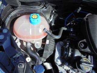 FIAT 500 usata 38