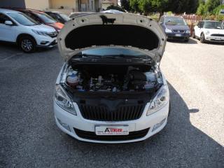 SKODA Fabia usata 56