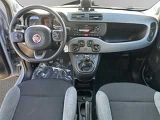 FIAT Panda usata, con Controllo trazione