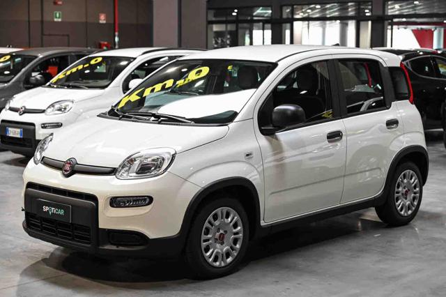 FIAT Panda usata 21