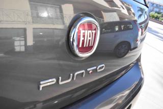 FIAT Punto usata 16
