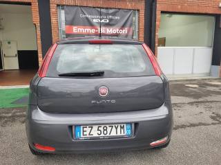 FIAT Punto usata, con Servosterzo