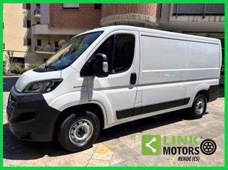FIAT  usata 1