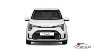 KIA Picanto usata 7