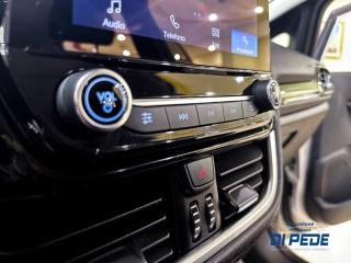 FORD Fiesta usata, con Controllo vocale