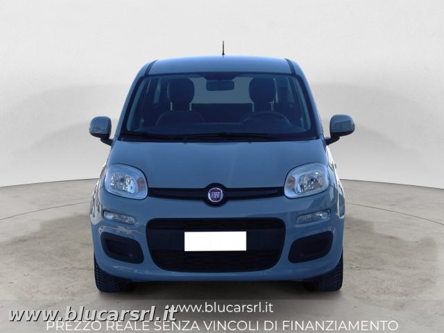 FIAT Panda usata 0