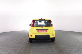 FIAT Panda usata 4