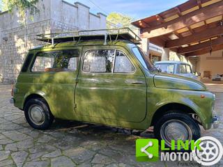 AUTOBIANCHI 500 Giardiniera usata 33