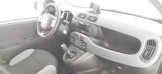 FIAT Panda usata 55