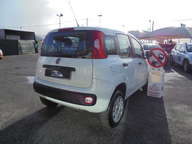 FIAT Panda usata, con Immobilizzatore elettronico