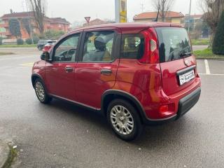FIAT Panda usata, con Antifurto