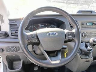 FORD Transit usata, con Fendinebbia