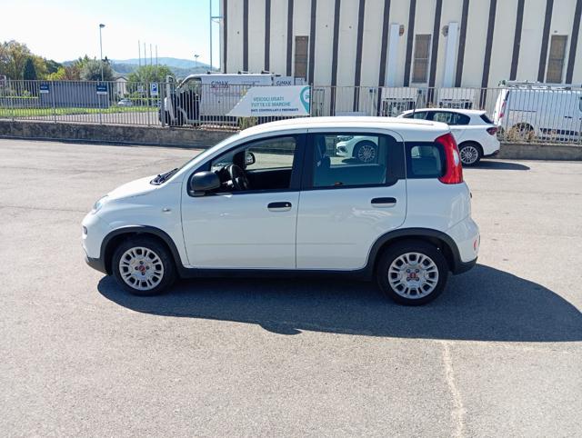 FIAT Panda usata 23