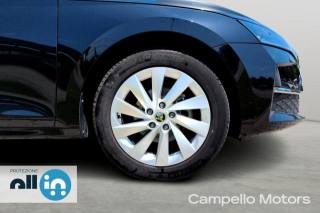 SKODA Octavia usata 18