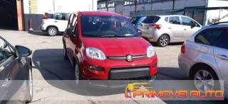 FIAT Panda usata, con Airbag
