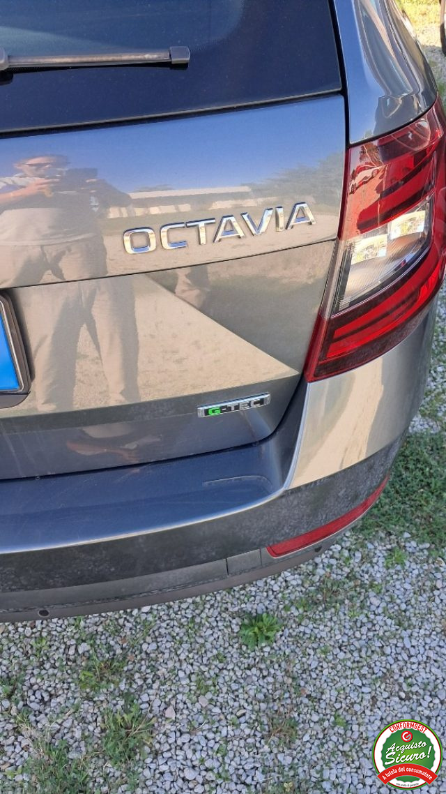 SKODA Octavia usata, con Controllo automatico clima
