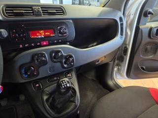 FIAT Panda usata, con ESP
