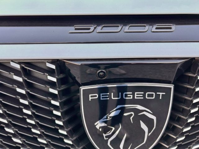 PEUGEOT 3008 usata 29