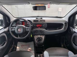 FIAT Panda usata, con Airbag testa