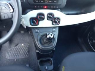 FIAT Panda usata, con Servosterzo
