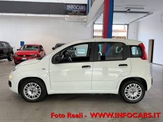 FIAT Panda usata 15
