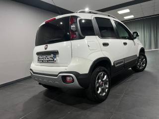 FIAT Panda Cross usata, con Airbag Passeggero