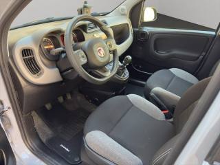 FIAT Panda usata, con Fendinebbia