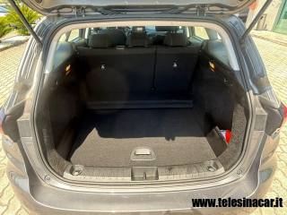 FIAT Tipo usata, con Climatizzatore