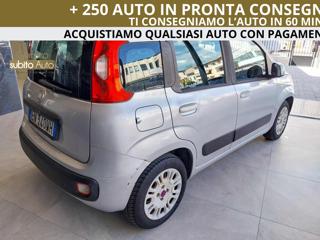 FIAT Panda usata, con Fendinebbia