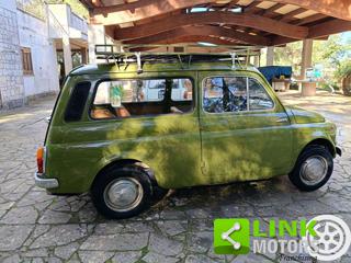 AUTOBIANCHI 500 Giardiniera usata 31