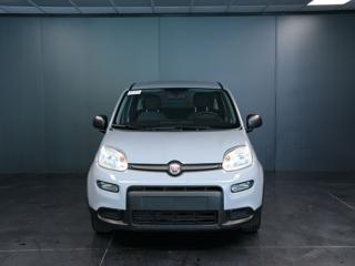 FIAT Panda usata, con Airbag