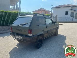 FIAT Panda usata 1
