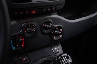 FIAT New Panda usata, con Frenata d