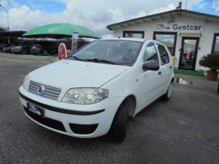 FIAT Punto usata, con Airbag Passeggero