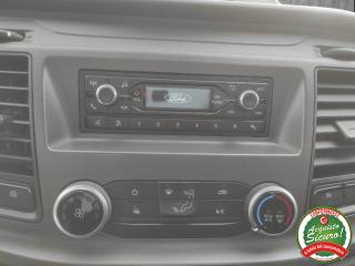 FORD Transit usata 15
