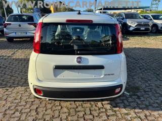 FIAT Panda usata, con Antifurto