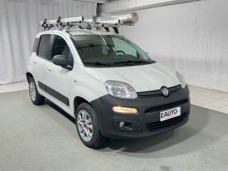 FIAT Panda usata, con Controllo trazione