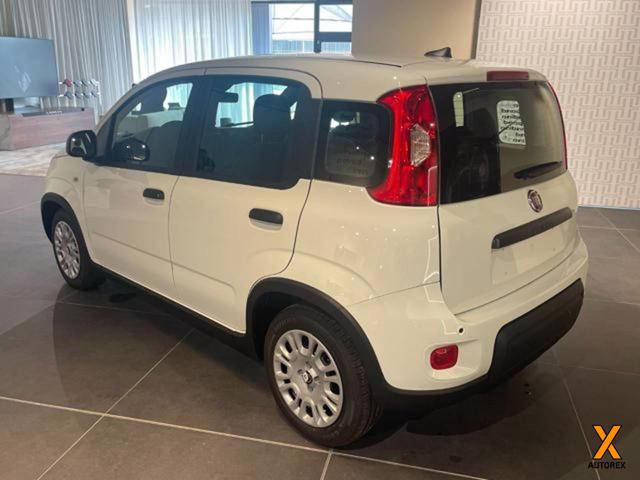 FIAT Panda usata, con ESP