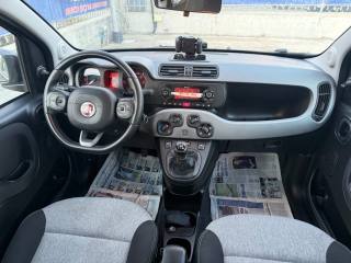 FIAT Panda usata 21