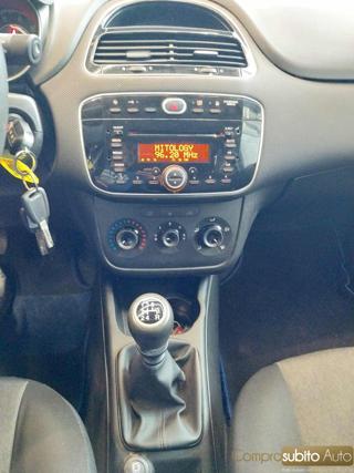 FIAT Punto usata 13