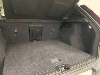 VOLVO XC40 usata, con Fendinebbia