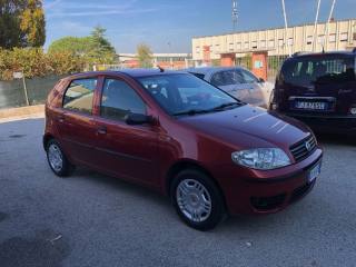 FIAT Punto usata, con Autoradio