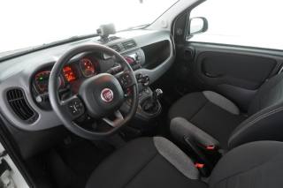FIAT Panda usata 8