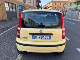 FIAT Panda usata 7