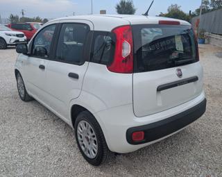 FIAT Panda usata, con Airbag Passeggero