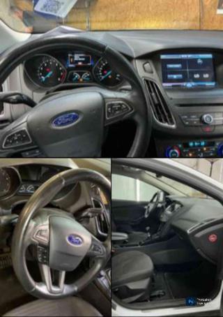 FORD Focus usata, con Airbag Passeggero