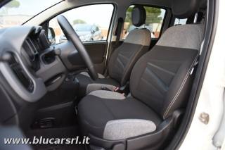 FIAT Panda usata 7