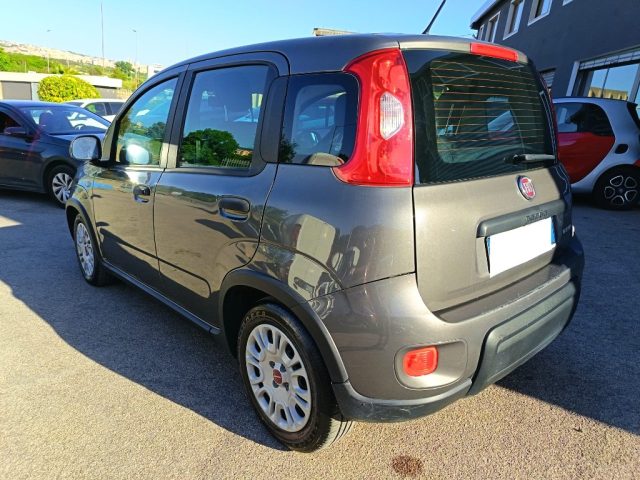 FIAT Panda usata 4